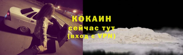 jwh Лиски