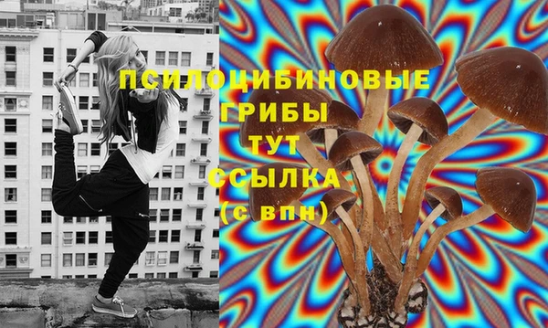 jwh Лиски