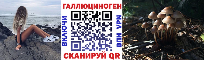 Псилоцибиновые грибы мицелий Нефтеюганск