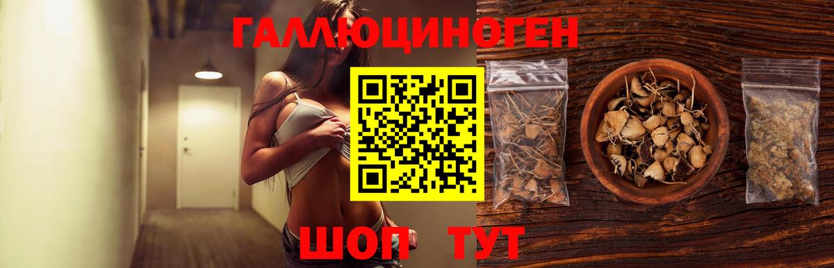 Псилоцибиновые грибы GOLDEN TEACHER  Вход с VPN  Нефтеюганск  Галлюциногенные грибы Cubensis 