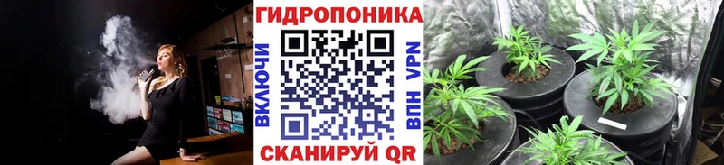 Бошки марихуана индика  ссылка на мегу сайт  Нефтеюганск  наркота 